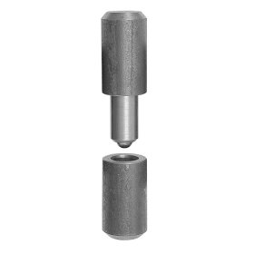 Vartų vyris DOMAX, skersmuo 30 mm, sidabro spalvos