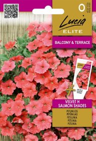Gėlių sėklos, LUCIA ELITE ELN petunijos ir surfinijos VELVET H SALMON SHADES, 7 s., O