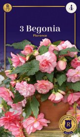 Svyrančių begonijų svogūnėliai Picotee Florence, 3 vnt., 4/5, Supreme, 659119, (P)