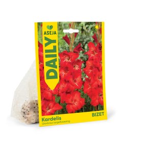 Didžiažiedžio kardelio svogūnėliai ASEJA Daily Bizet, 3 vnt., 10/12, 83990210, (P)