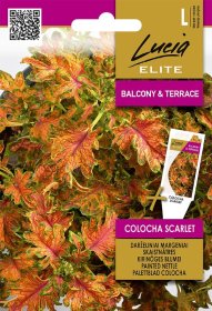 Gėlių sėklos, LUCIA ELITE ELN margeniai darželiniai COLOCHA SCARLET, 25 s., L