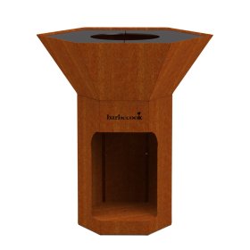 Lauko kepsninė BARBECOOK Nestor Original, 92x82x101 cm, su malkų dėtuve, nerūdijančio plieno paviršiumi, bronzinės spalvos