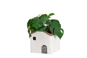 Lauko vazonas 4Living NAMAS, baltos sp., 14,5 x 14,5 x 16 cm.