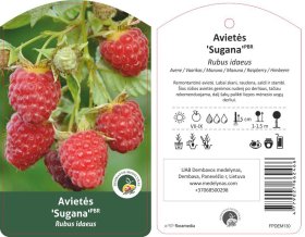 Vaiskrūmis, avietė "Sugana"