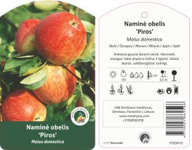 Vaismedis, obelis “Piros” (Malus domestica)