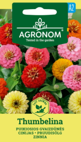 Gėlių sėklos, AGRONOM gvaizdūnės puikiosios THUMBELINA, 0,5 g.
