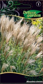 Gėlių sėklos, miskantas kininis, 10 s., 5747, I