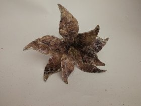 Dirbtinė gėlė, puansetija, rudo su gintaro atspalviu, 15 x 25 x 25 cm