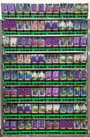 Daugiametė gėlė, pentinius, įvairūs, vazonėlio skersmuo 11 cm.