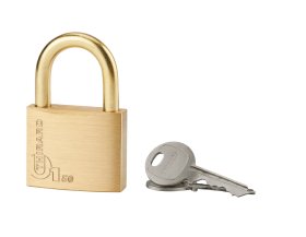 Pakabinama spyna THIRARD, Type 1-50 žalv.korp. ir lank., 2 raktai, 193026