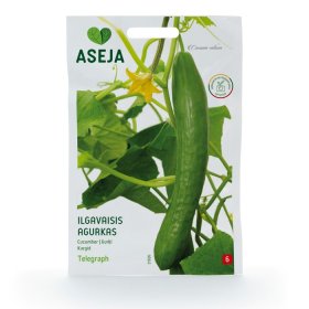 Ilgavaisis agurkas ASEJA Telegraph, 0,3 g, 21920(6)