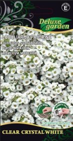 Gėlių sėklos, lobuliarija pajūrinė Clear crystal white, 20 sėklų, 1139, E