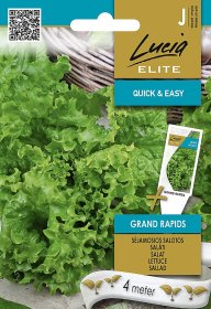 Daržovių sėklos, LUCIA ELITE ELN salotos sėjamosios GRAND RAPIDS, 4 m, J