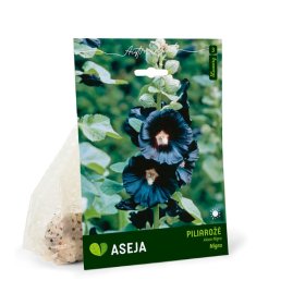 Piliarožės Nigra svogūnėliai ASEJA, 3 vnt., I r., 16084, (P)