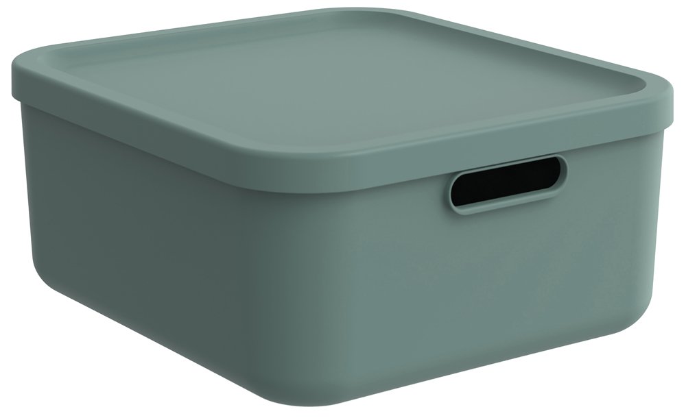 Daiktadėžė ROTHO Albula, 20 l, su dangčiu, žalsvos sp.