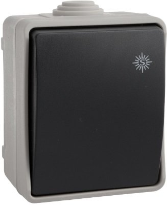 Jungiklis SOLERA 3303, 1 klavišo, paviršinis, IP54, korpusas pilkos sp., klavišas juodos sp.