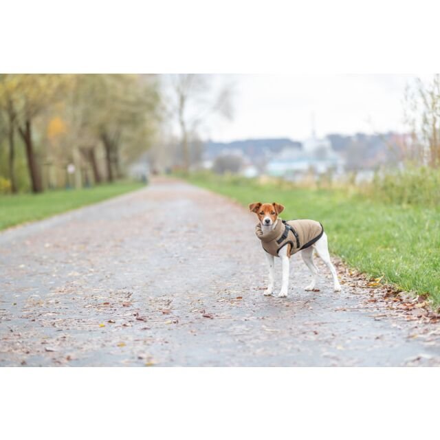 Žieminė striukė su petnešom šuniui TRIXIE Pirou, S dydžio, 33 cm, smėlio spalvos