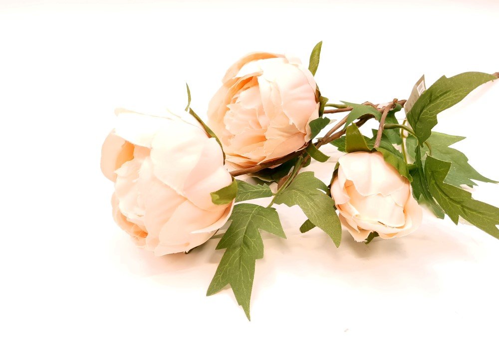 Dirbtinė gėlė bijūnas NOVELLY HOME, baltos sp., 55 cm