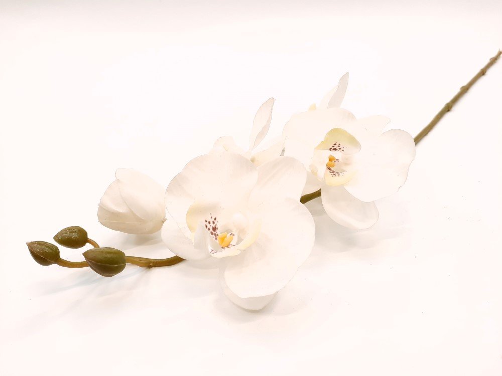 Dirbtinė gėlė orchidėja NOVELLY HOME DY4-5A, baltos sp., 69 cm