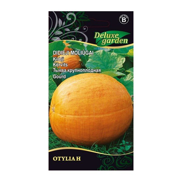 Daržovių sėklos, moliūgai Otylia H, 1 g, 4000, B
