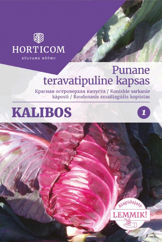 Daržovių sėklos, HORTICOM kopūstai raudonieji Kalibos, 50 sėklų