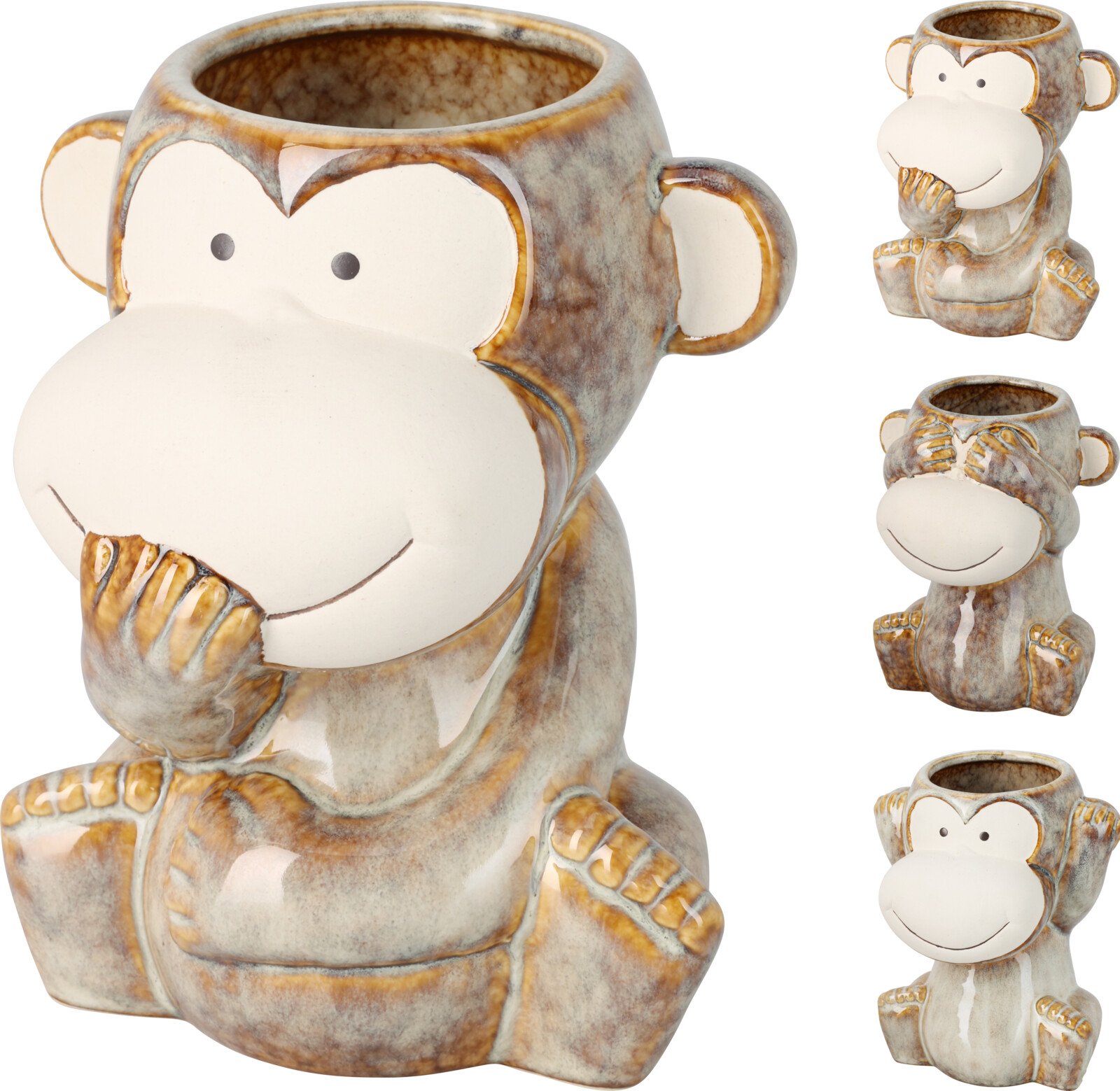 Kambarinis keraminis vazonas BEZDŽIONĖLĖ, 3 skirtingi dizainai, 13 x 11 x 16 cm.