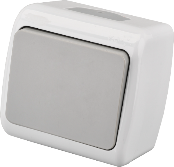 Jungiklis ORRO A550190003, 1 klavišo, paviršinis, IP44, 10A 250V, pilkos spalvos, E8005-01