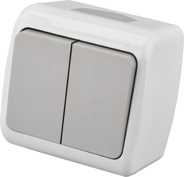 Jungiklis ORRO A550190004, 2 klavišų, paviršinis, IP44, 10A 250V, pilkos spalvos, E8005-02