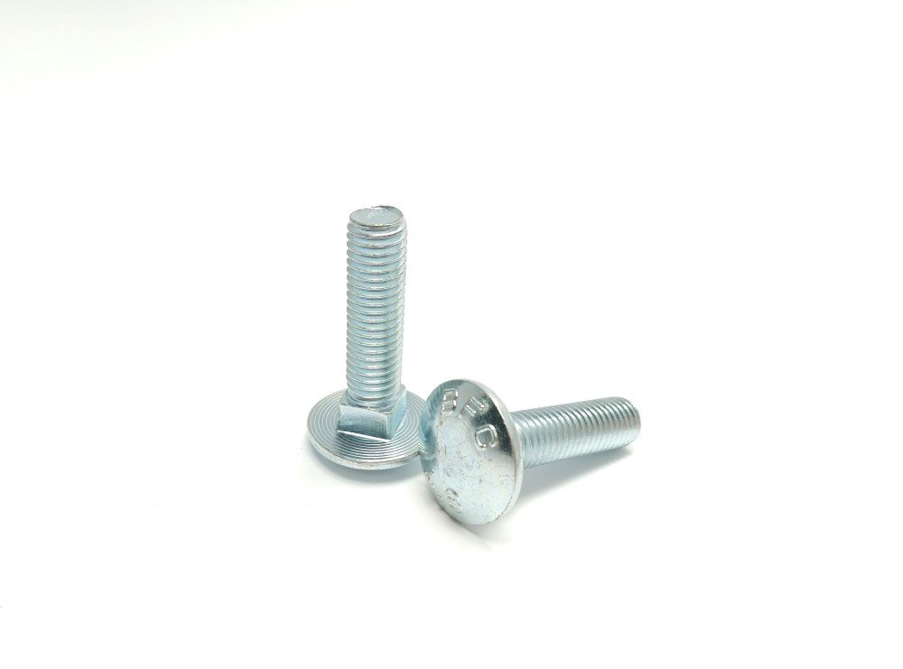 Varžtai su fiks. PROFIX, DIN603, M6 x 50 mm, cinkuoti, 10 vnt.