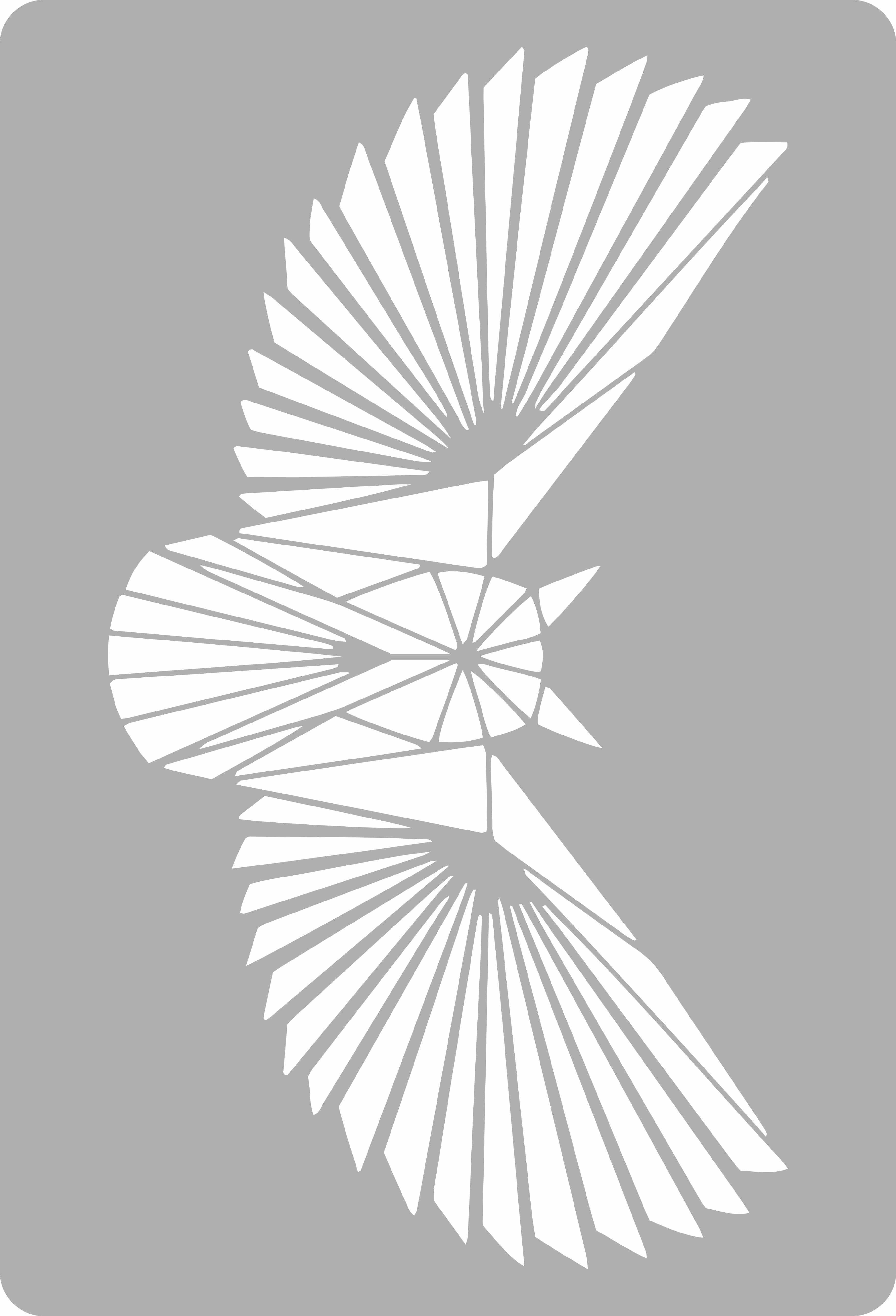 Sienų šablonas PRIMACOL Mega Owl 529