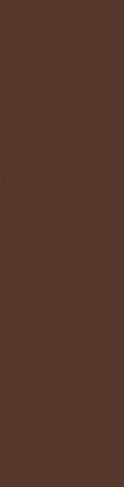Klinkerinės sienų plytelės PARADYZ Natural Brown, 6,6 x 24,5 cm, 0,740 m2/dėžėje