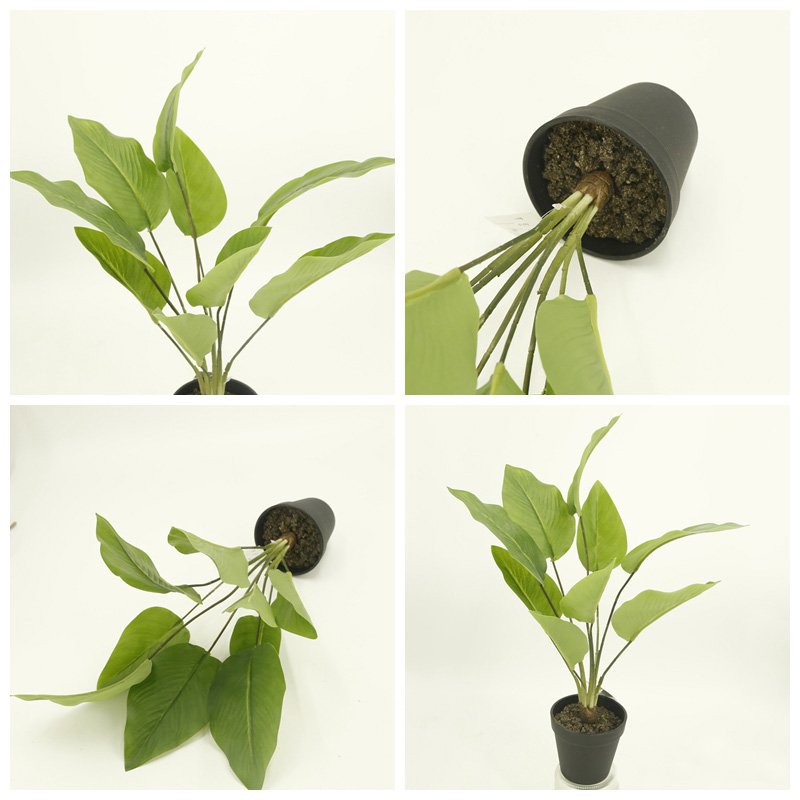 Dirbtinis augalas NOVELLY HOME DY1-5591A-GN Alokazija, vazone, 47 cm