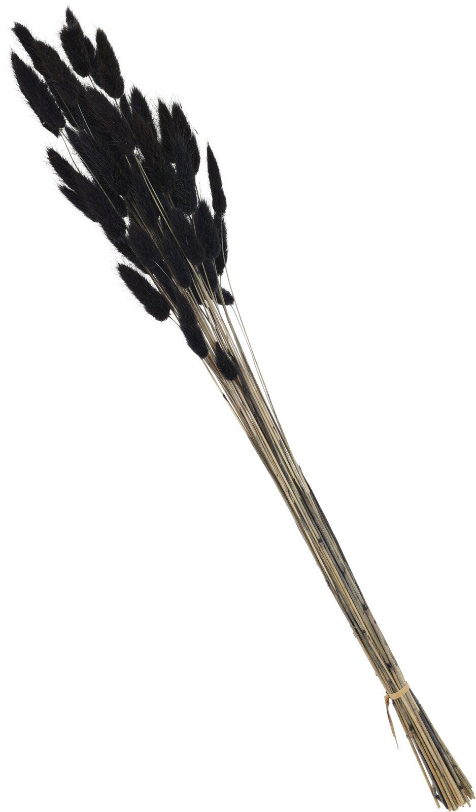 Džiovintų žolių puokštė, juodos sp., 65 cm