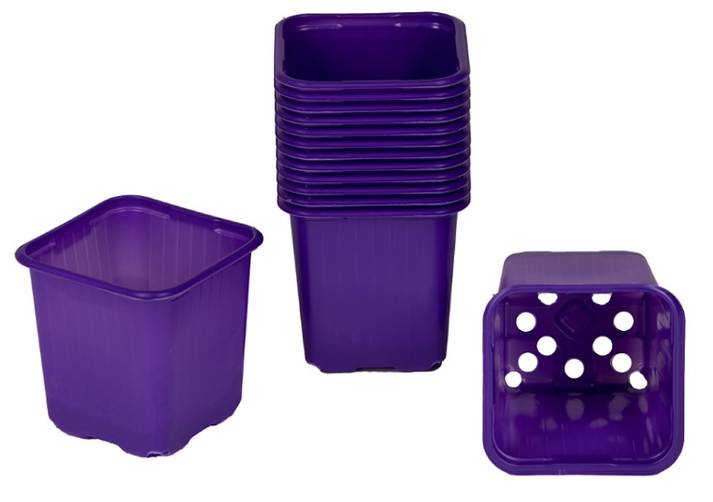 Vazonėlis daigams VEFI, 8x8 cm., violetinis, 20 vnt.