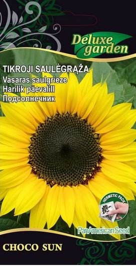 Gėlių sėklos, gležnoji saulėgrąža Choco sun, 8 s., 1474, G