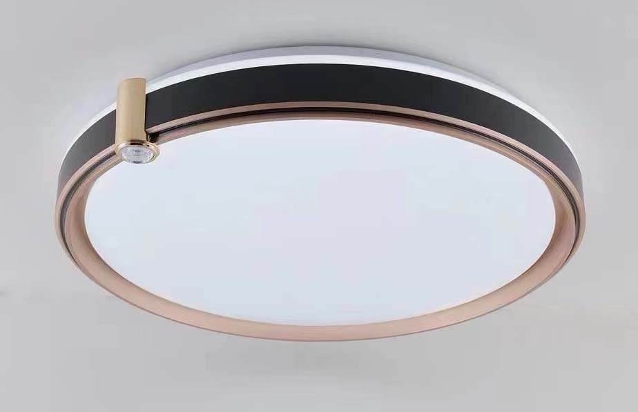 Plafoninis šviestuvas BALTIK GAISMA K39206, LED 96W dimmable IR remote 3000-6500K 500 x 65mm