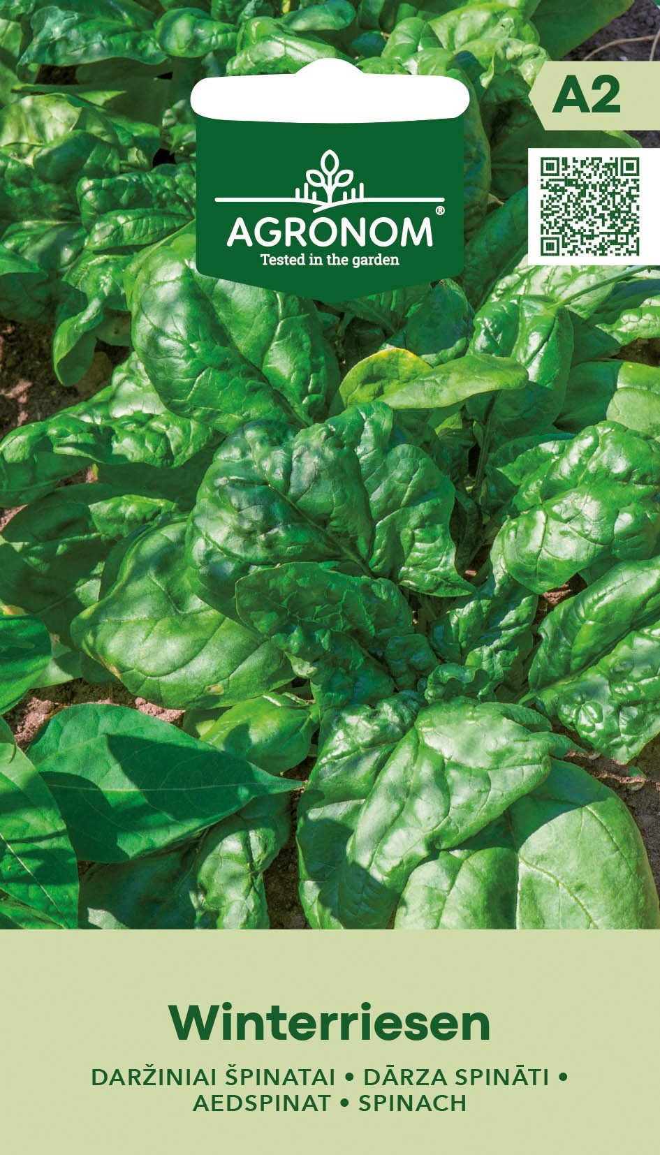 Daržovių sėklos, AGRONOM špinatai daržiniai WINTERRIESEN, 2 g.