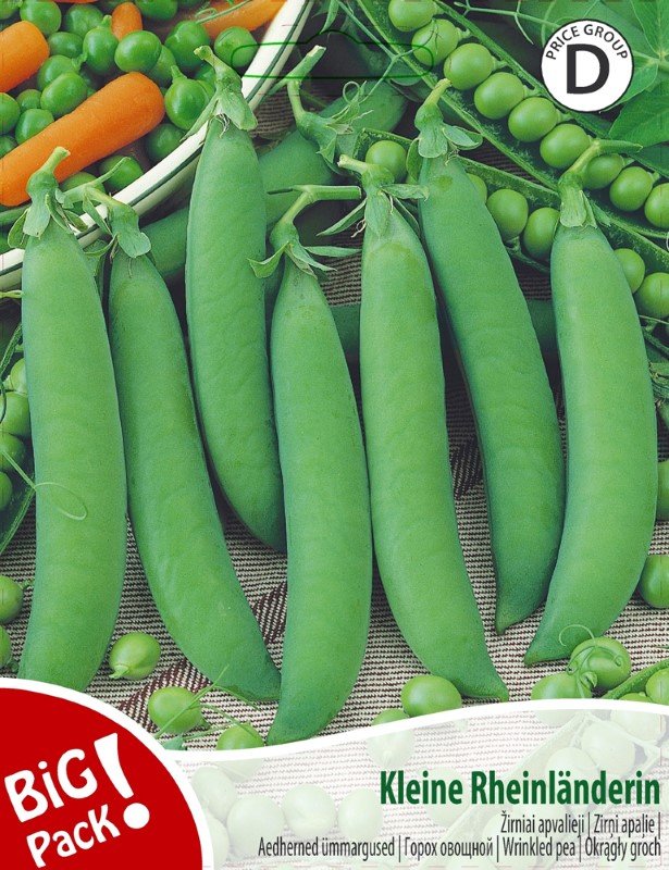 Daržovių sėklos, žirniai apvalieji Kleine Rheinlanderin, 20 g., 07864, D