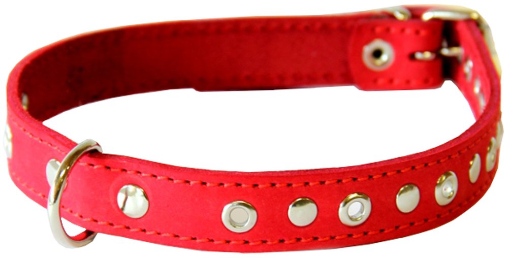 Antkaklis, su skylutėmis 1.8x45 cm, raudonas