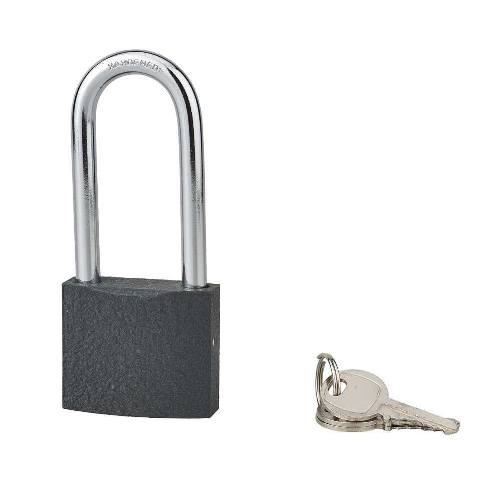 Pakabinama spyna SP Acera, pailga ąselė, 3 raktai, ketus, 50 mm, 988154