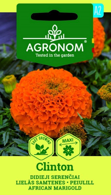 Gėlių sėklos, AGRONOM serenčiai didieji CLINTON ORANŽINĖ, 0,5 g.