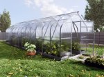 Šiltnamis KLASIKA Standart, 20 m2, su pamatu ir 4 mm polikarbonatinė danga, 2,5 x 8 m, lašo formos