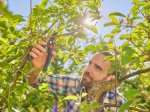 Sekatorius GARDENA PremiumCut Pro Flex, 24 mm, prasilenkiančiais ašmenimis