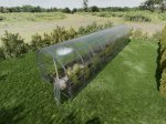 Šiltnamis BALTIC LT, 30 m2, 4 mm polikarbonato danga, 3 x 10 m, arkos formos