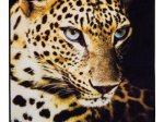 Kilimas DIGITAL Leopard, 100 x 150 cm, 282612