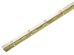 Ištisinis vyris baldinis HETTICH, 20x1200mm, dengtas žalvariu, 9169527