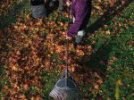 Grėblys lapams FISKARS Solid XL, 1015645