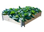 Medinė pakelta lysvė KLASIKA GARDEN, 120 x 80 x 19,5 cm, metaliniai kampai