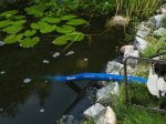 Plokščia žarna BRADAS Aqua-Flat PE/EVA, vandens pumpavimui, 1 1/4"- 30m, mėlyna spalva