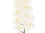 Dirbtinė gėlė orchidėja NOVELLY HOME GFQ-005, baltos sp., aukštis - 95 cm